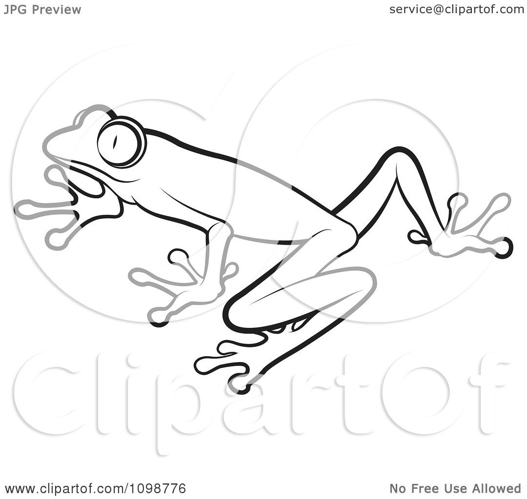 Clipart Outlined Poison Dart Frog - Royalty Free Vector Illustration by