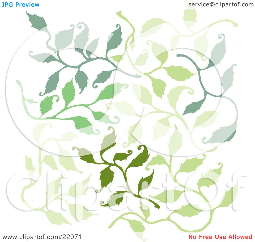 Clipart Picture of a Pattern Of Green Leafy Branches Over A White