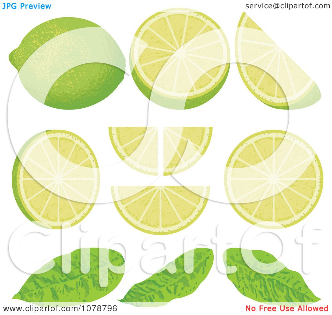 Clipart Pieces Of Lime Wedges With Leaves Royalty Free Vector