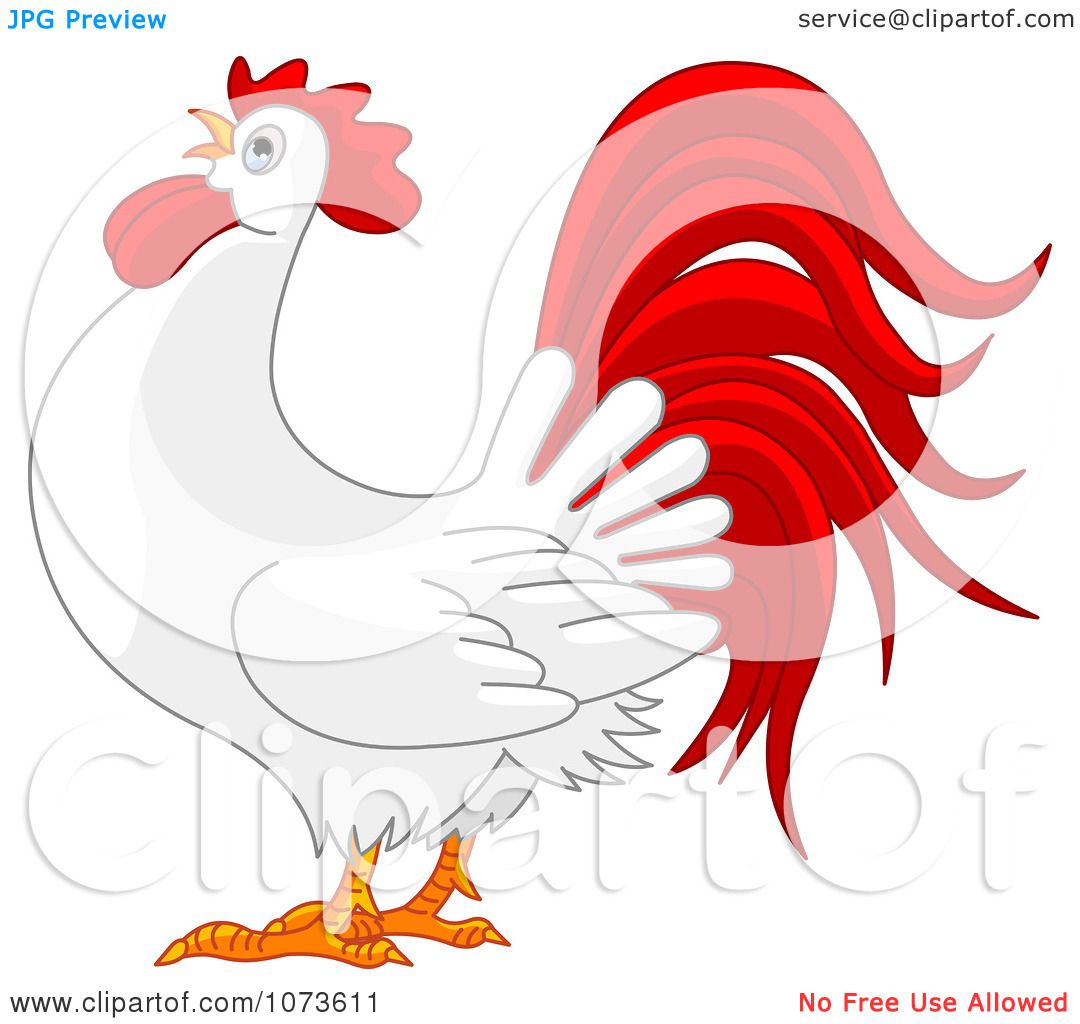 Clipart Red And White Rooster Crowing - Royalty Free Vector Illustration by  Pushkin #1073611