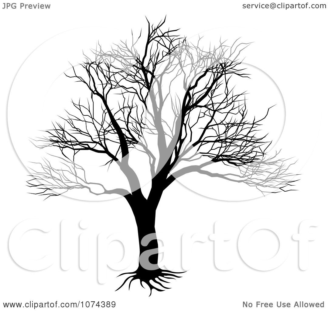 Royalty-Free (RF) Clipart of Naked Trees, Illustrations 