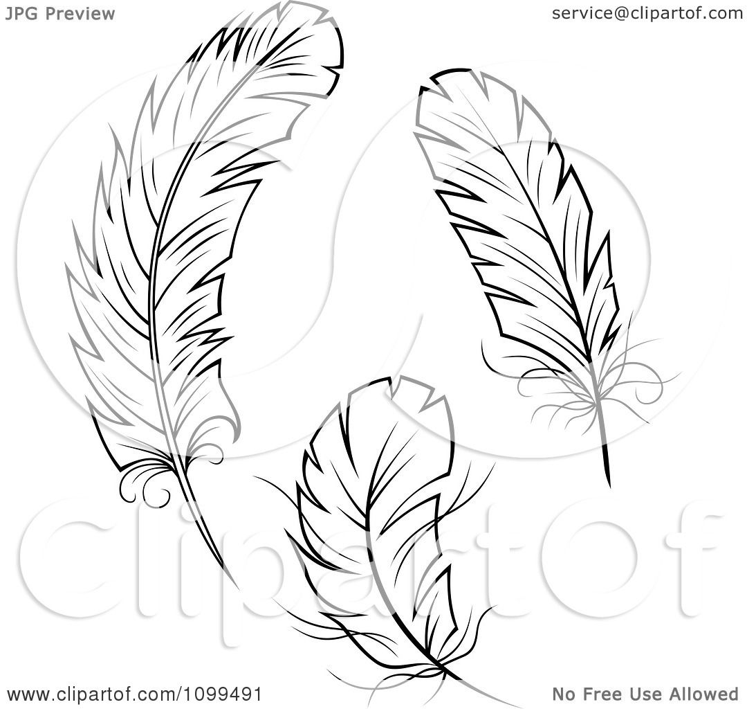 eagle feather coloring pages - photo #42