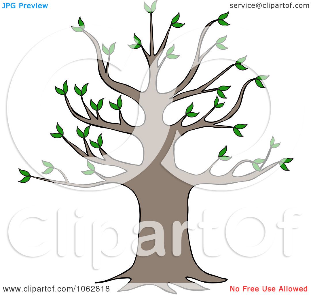Clipart Tree With Growth - Royalty Free Vector ...