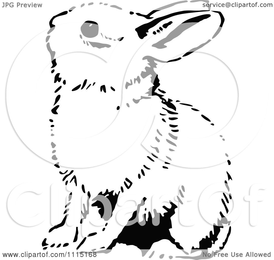 Download Clipart Vintage Black And White Bunny - Royalty Free ...