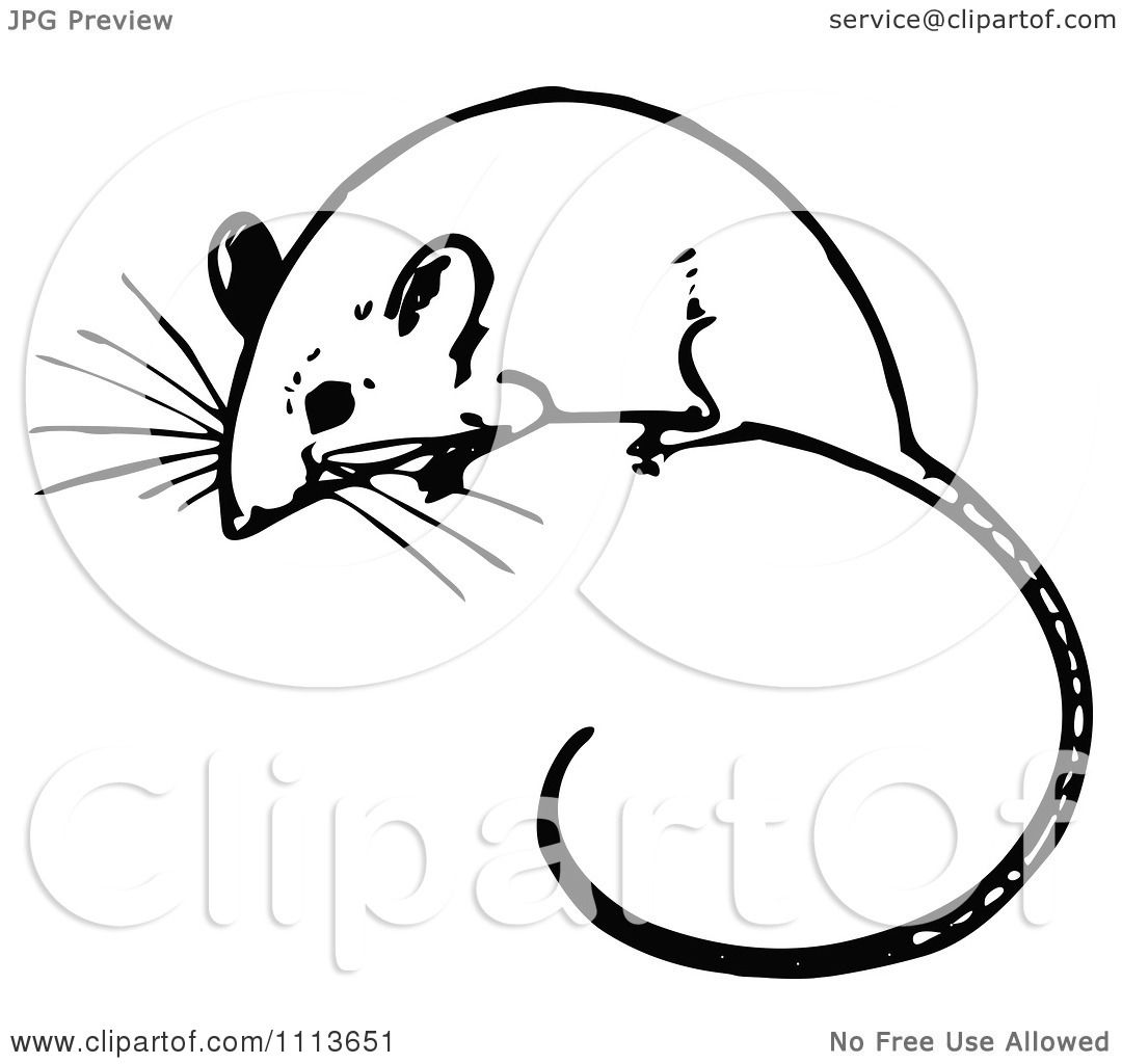 black and white mouse clipart free - photo #40