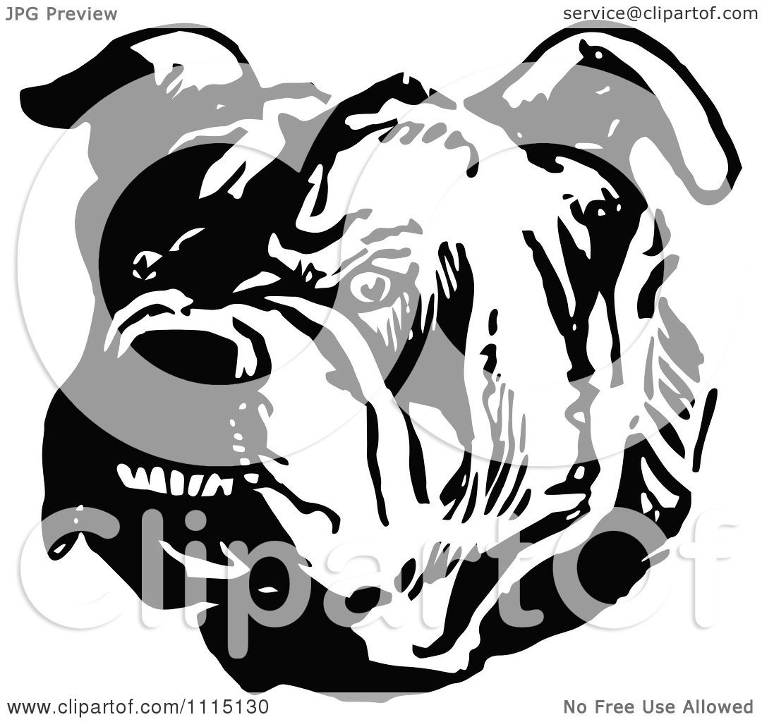 Clipart Vintage Black And White Tough Bulldog - Royalty Free Vector ...