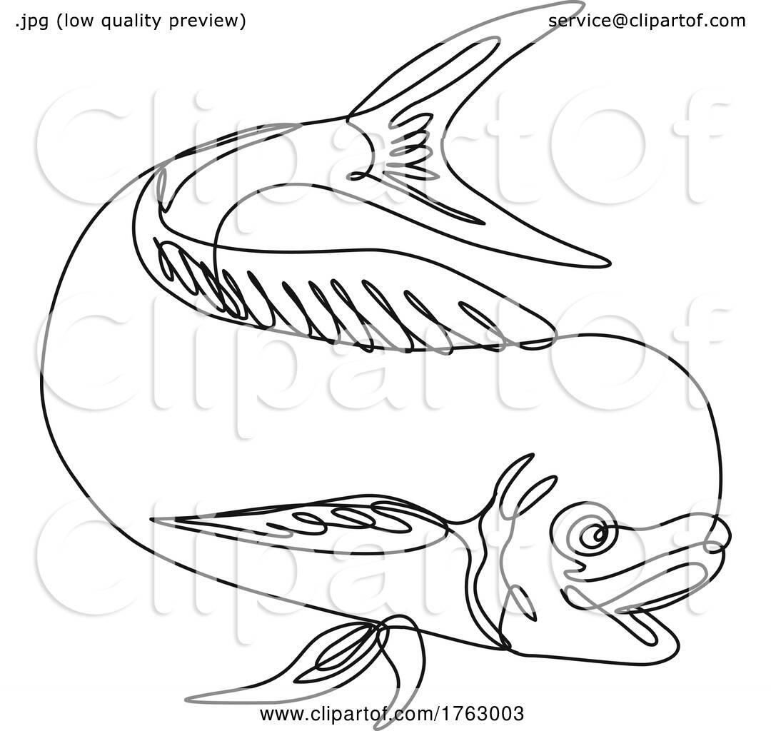 illustration of a fish line art on white 18976325 Vector Art at Vecteezy, Fish  Line - valleyresorts.co.uk
