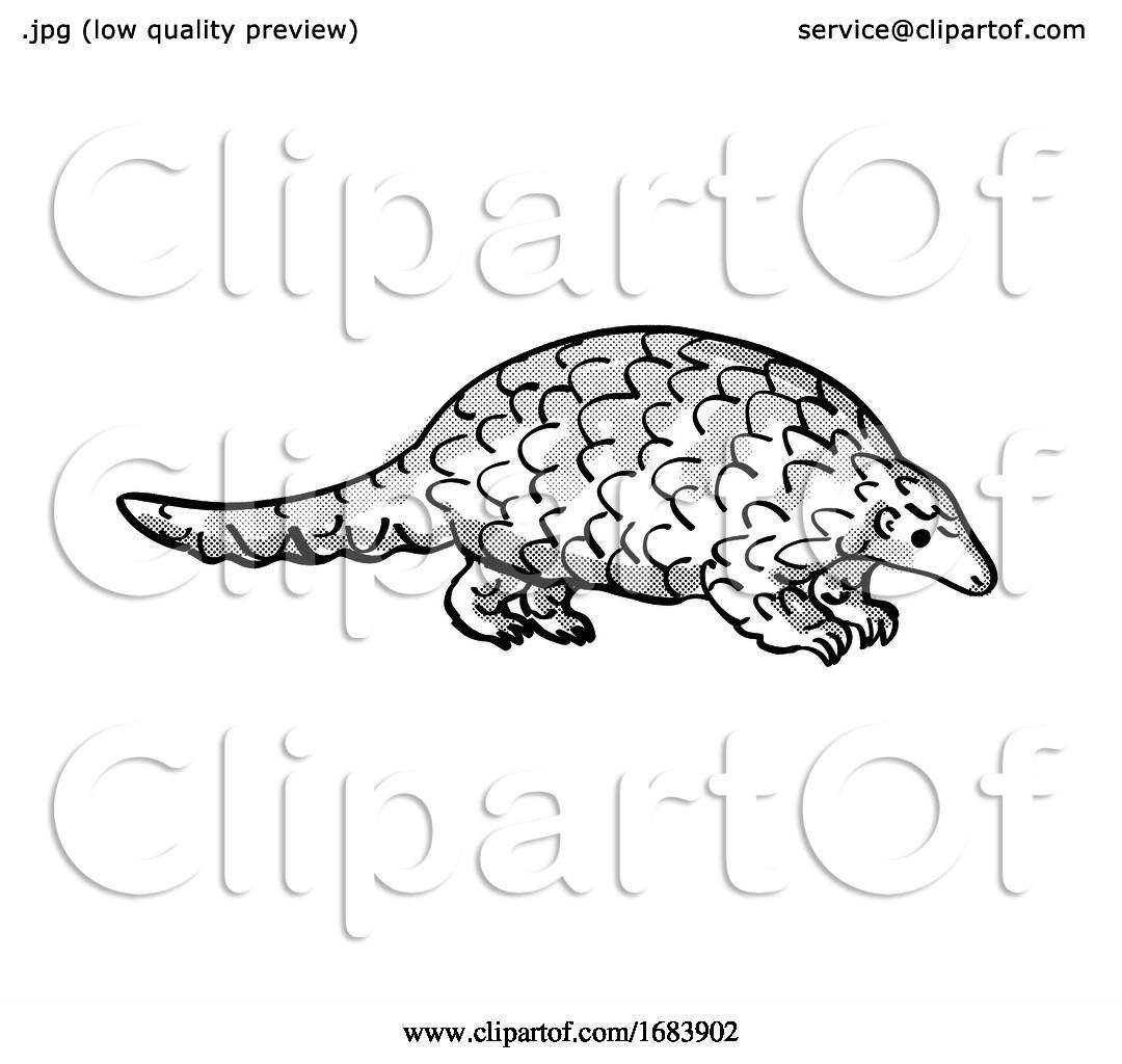 Ground Pangolin or Smutsia Temminckii Endangered Wildlife Cartoon Mono