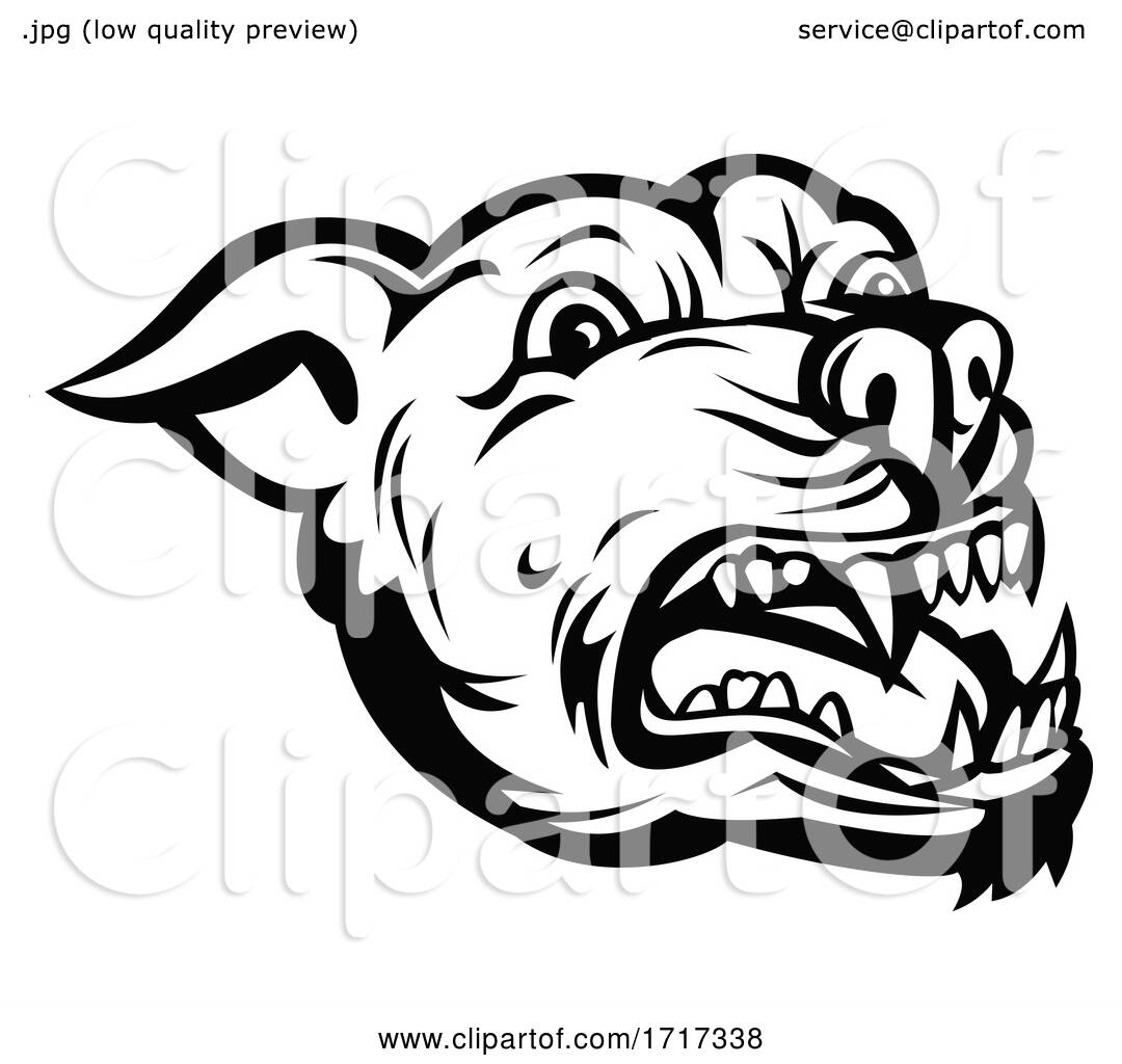 Head of Angry Pit Bull or Pitbull Barking Retro Black and White by ...