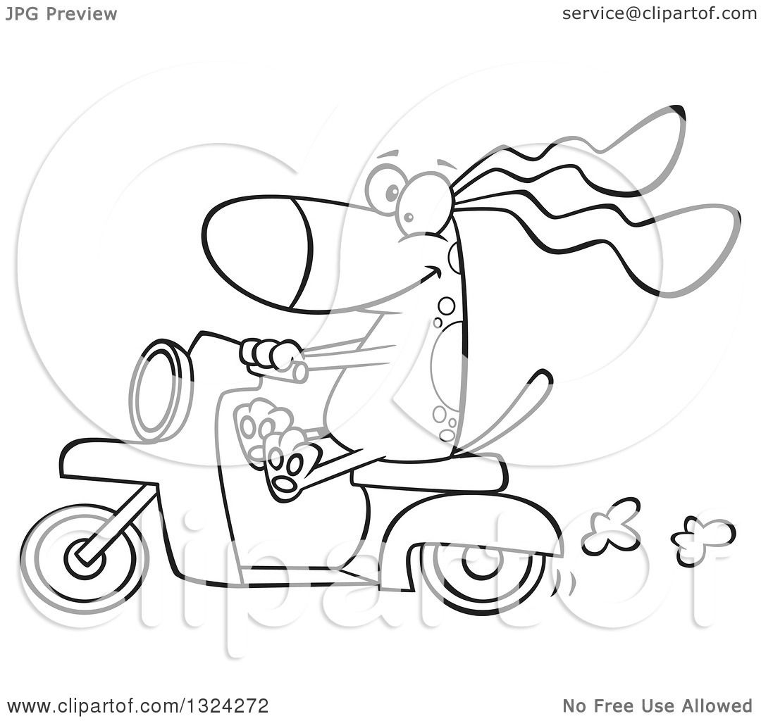 Lineart Clipart of a Cartoon Black and White Happy Dog Riding a Scooter ...