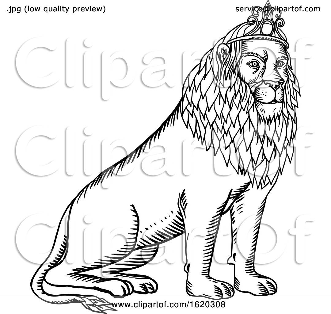 Vector isolated cute cartoon sitting lion cub with mane colorless black and  white contour line easy drawing Stock Vector | Adobe Stock