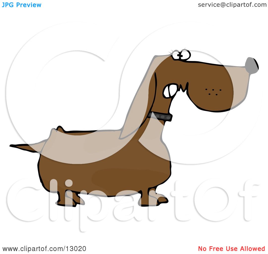 dachshund dog clipart - photo #45