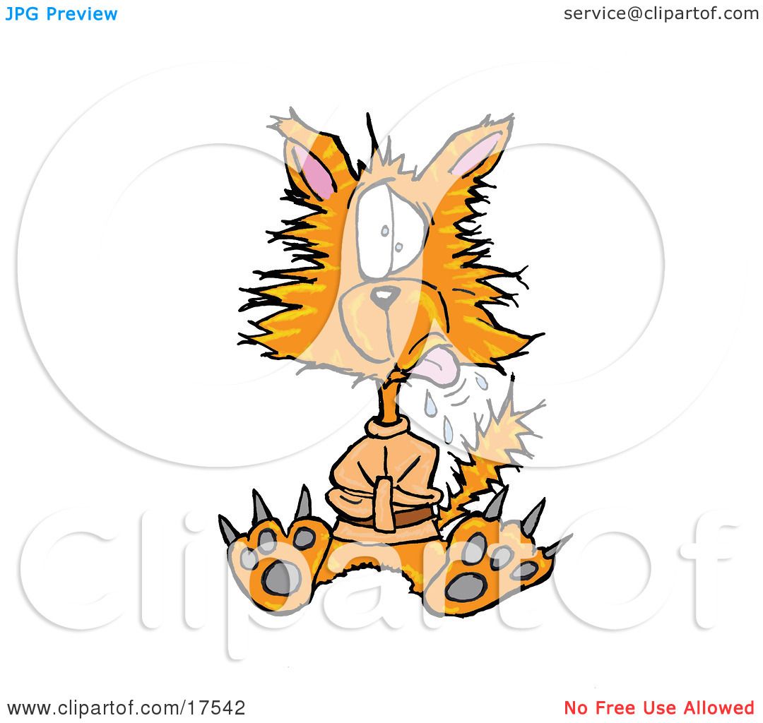 Royalty-free Clip Art: Crazy Orange Cat In A Straight Jacket by ...