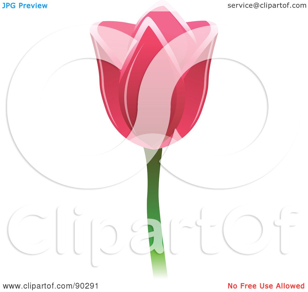 Royalty-Free (RF) Clipart Illustration of a Beautiful Pink ...