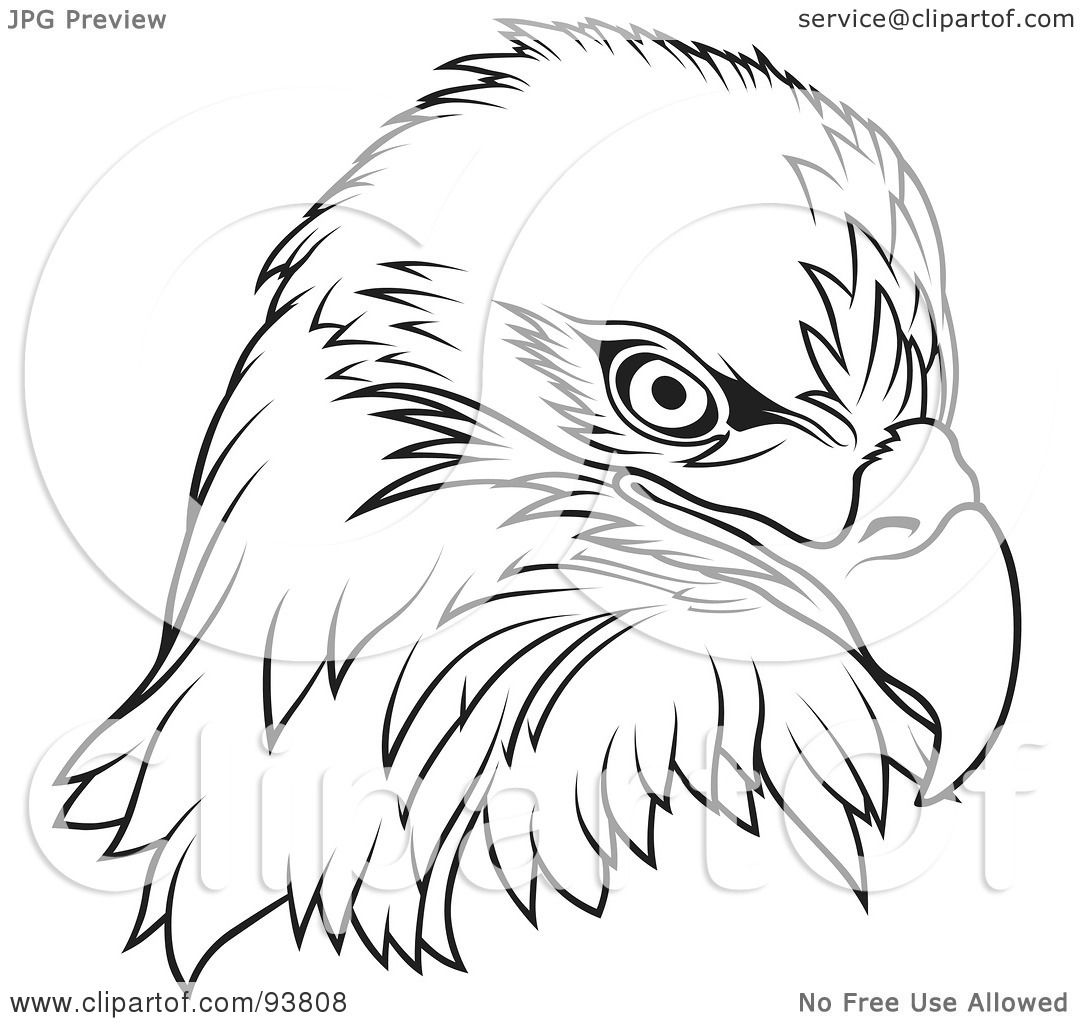 Royalty-Free (RF) Clipart Illustration of a Black And White Bald Eagle