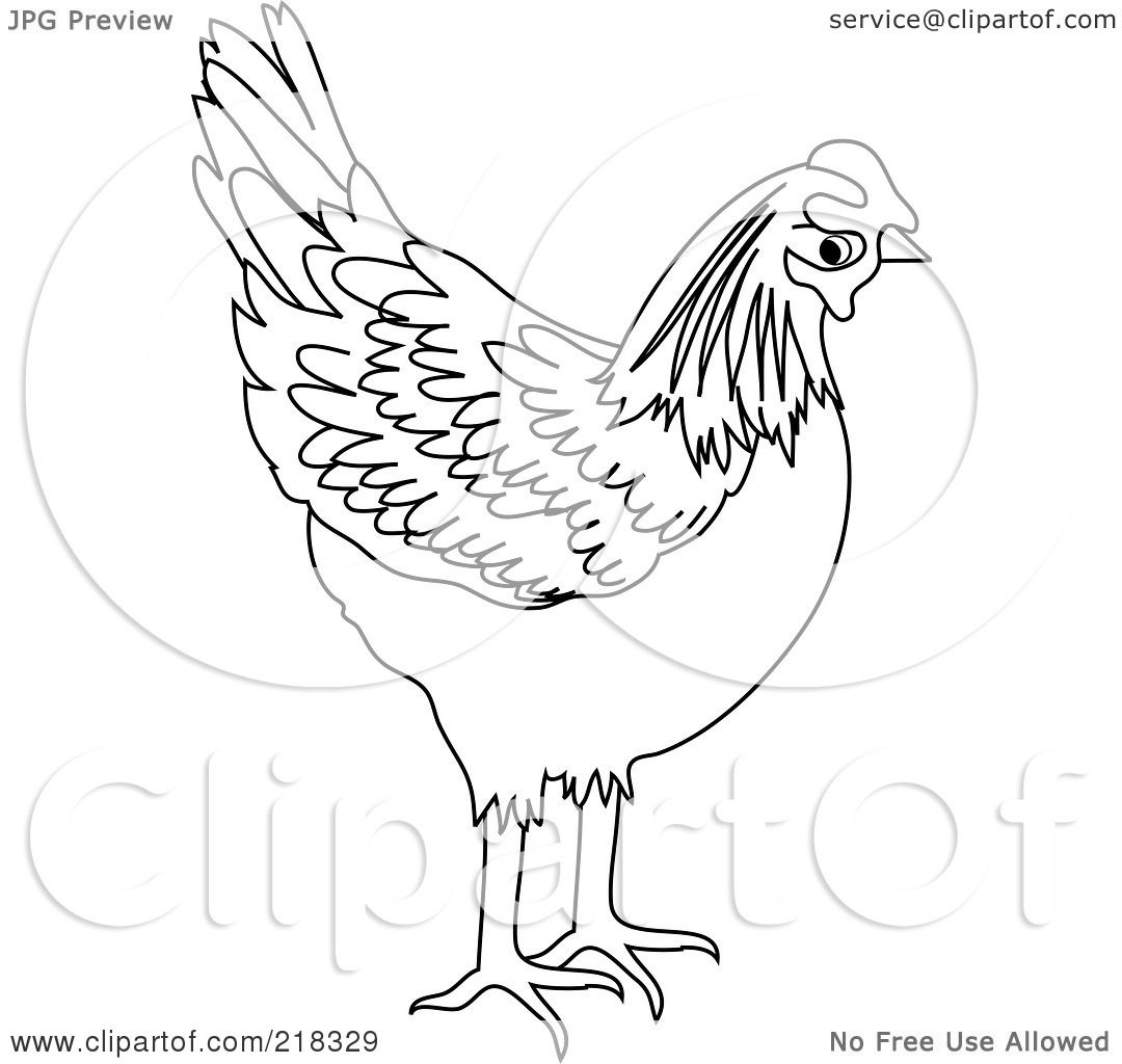 black and white chicken coloring page outline