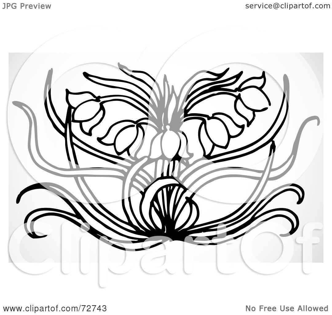 Royalty-Free (RF) Clipart Illustration of a Black And White Tulip