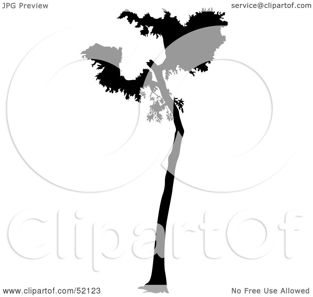 Tree Clipart #224201 - Illustration by OnFocusMedia