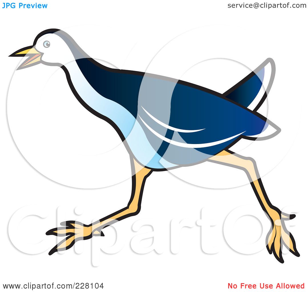 Royalty Free Rf Clipart Illustration Of A Blue Water Hen 7 By Lal Perera