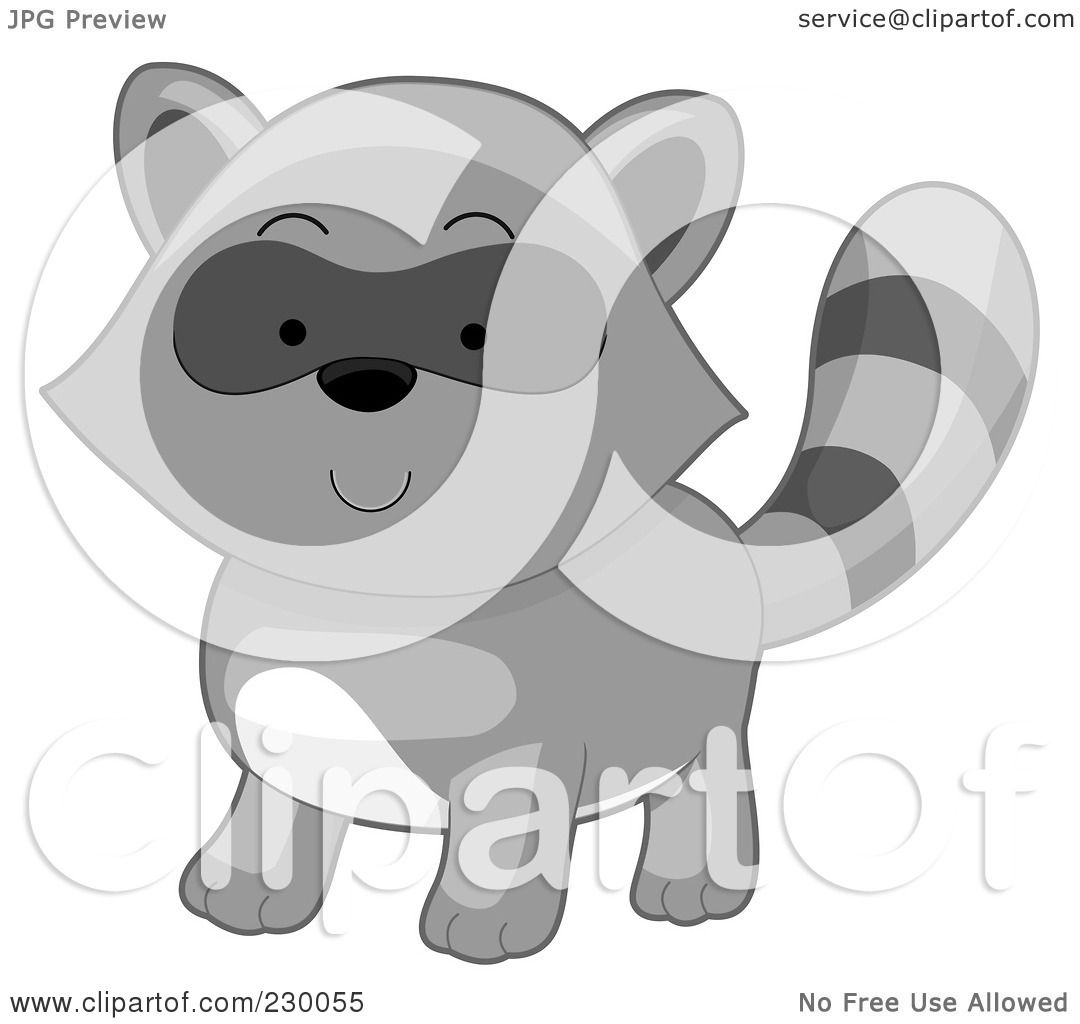 baby raccoon clipart - photo #19