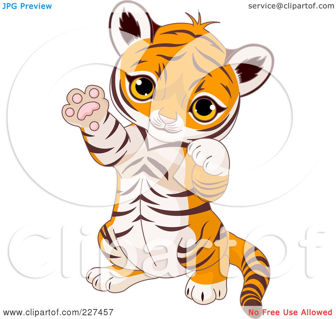 Royalty-Free (RF) Clipart Illustration of a Cute Baby Tiger Sitting Up And  Gesturing Playfully With His Paws by Pushkin #227457
