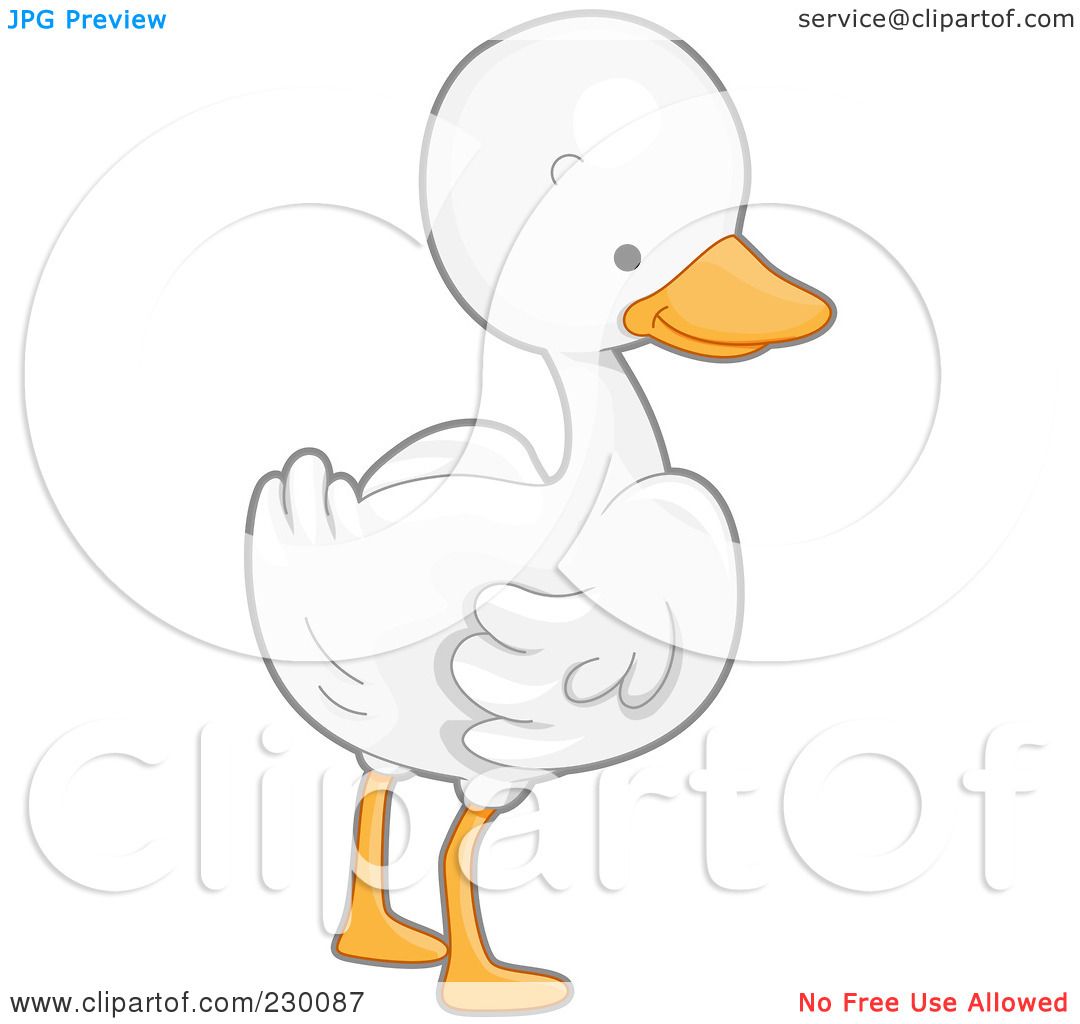 silly goose clipart - photo #41