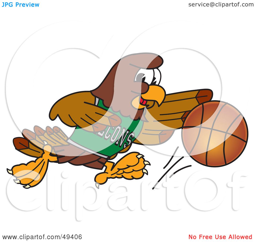 falcon cartoon character