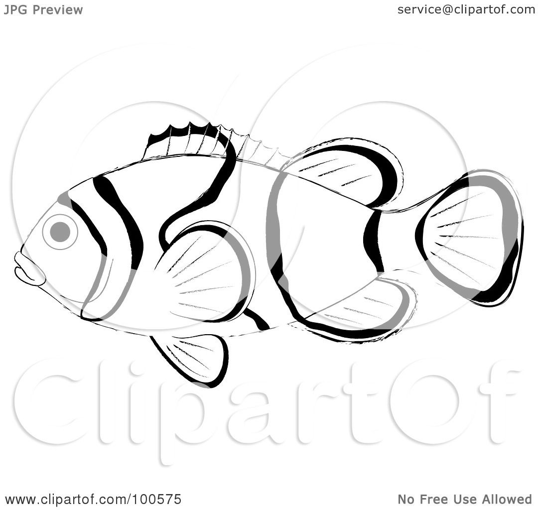Royalty Free RF Clipart Illustration of a Profiled Black And White Clown Fish by Pams Clipart