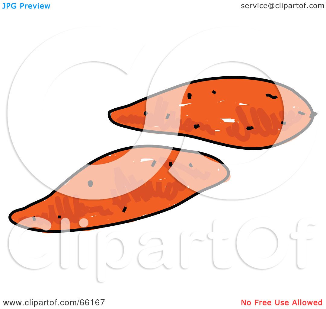 Royalty-Free (RF) Clipart Illustration of Two Sketched Sweet Potatoes