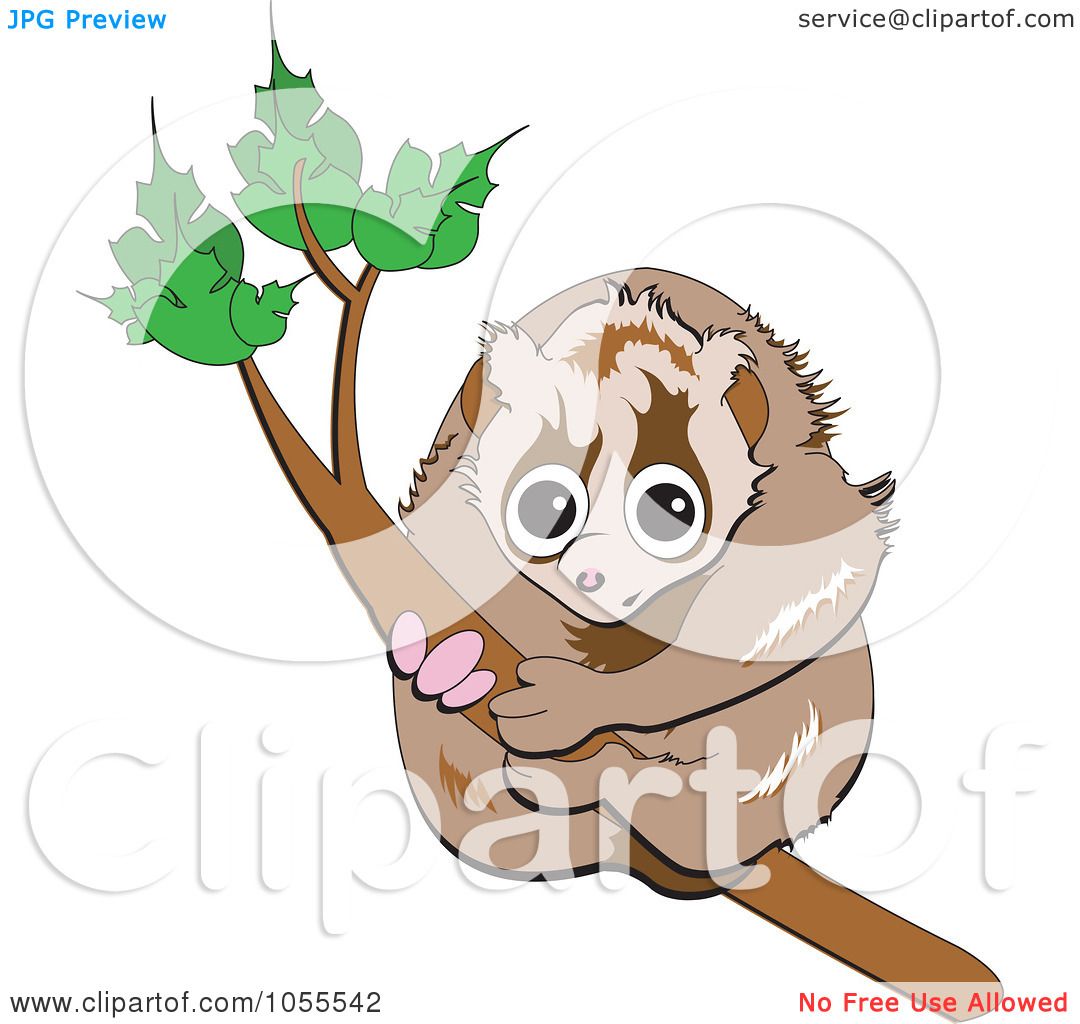 Royalty Free Vector Clip Art Illustration Of A Cute Slow Loris Hanging On To A Branch By