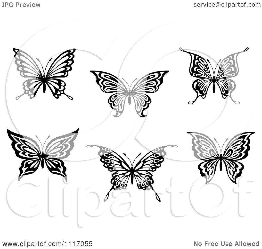 Vector Clipart Black And White Butterflies Royalty Free Graphic