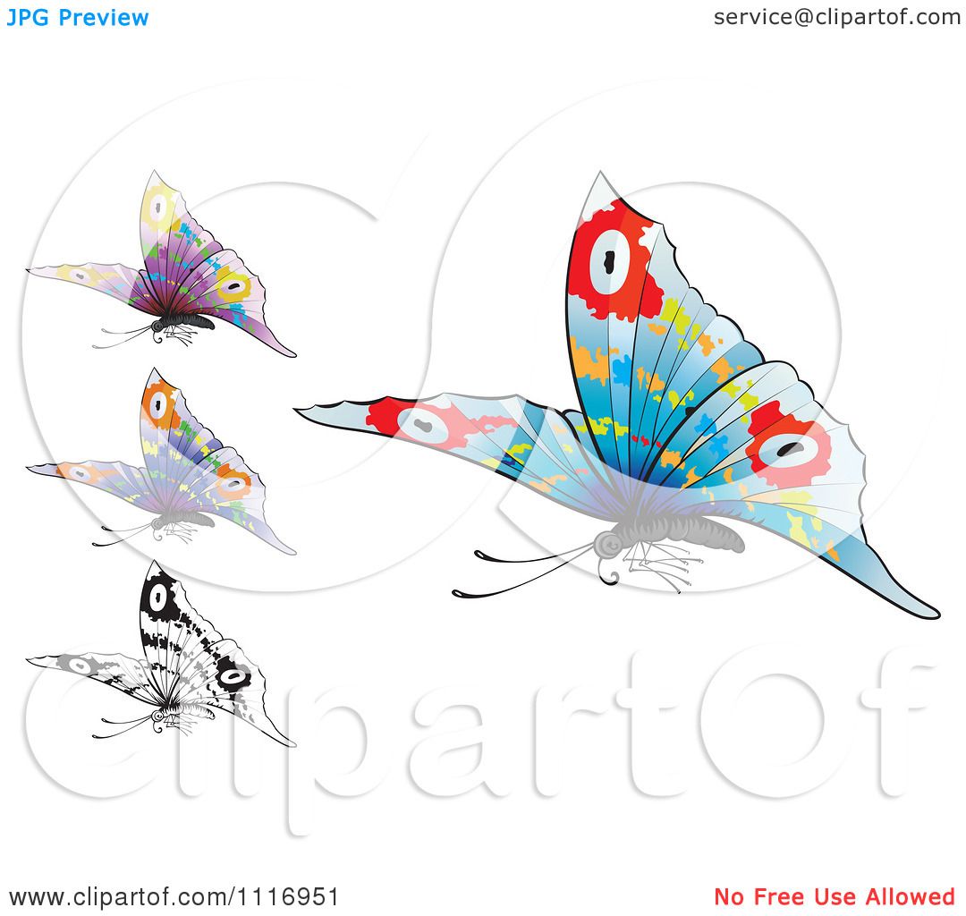 Download Vector Clipart Colorful And Black And White Flying ...