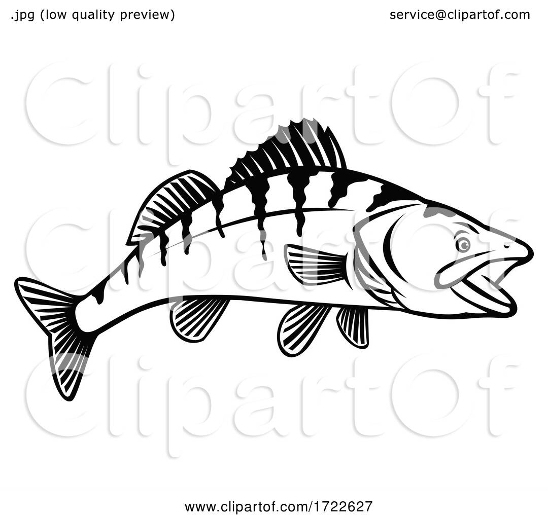 Walleye Yellow Pike or Yellow Pickerel Side View Stencil Black and