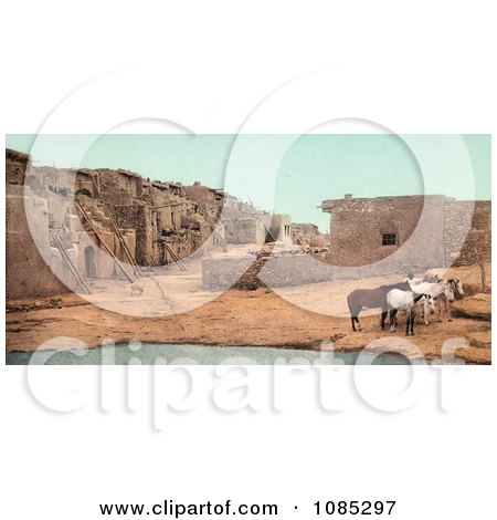 Brown And White Horses Near A Pool Of Water At Acoma Pueblo, New Mexico - Free Photochrome Stock Photo by JVPD