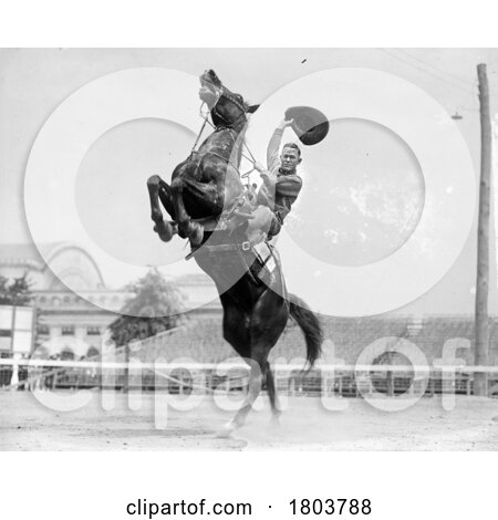 Buck Stewart on a Rearing Horse at a Wild West Show and Rodeo in 1923 by JVPD