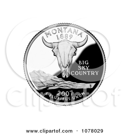 Buffalo Skull on the Montana State Quarter - Royalty Free Stock Photography by JVPD