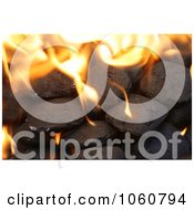 Burning Charcoal Briquettes Royalty Free Stock Photo by Kenny G Adams