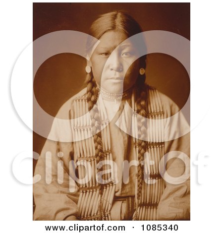 Cheyenne Native Girl - Free Historical Stock Photography by JVPD