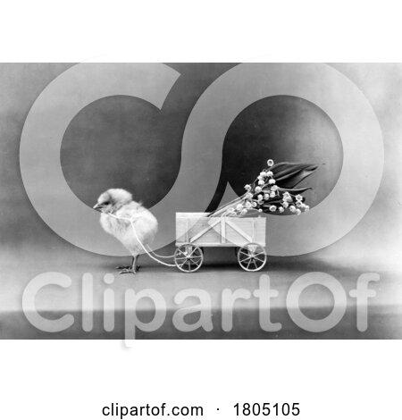 Chick with Lily of the Valley Flowers in a Tiny Wagon by JVPD