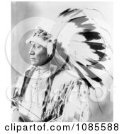 Chief Hollow Horn Bear Free Historical Stock Photography