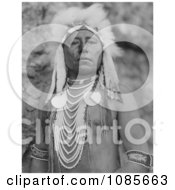 Crow Indian Man Called Which Way Free Historical Stock Photography