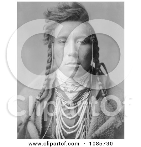 Crow Native American Man, Bird on High Land - Free Historical Stock Photography by JVPD
