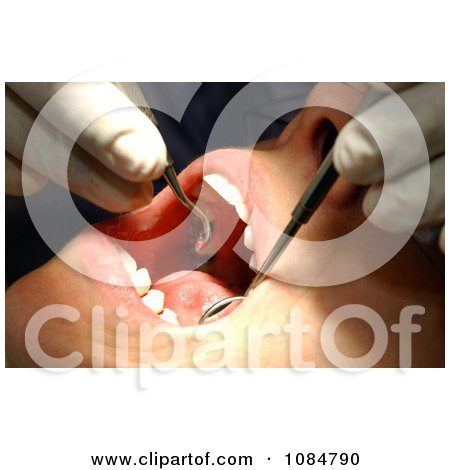 Dental Exam - Free Stock Photography by JVPD
