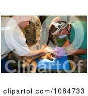 Dog Getting Dental Work Done Free Stock Photography