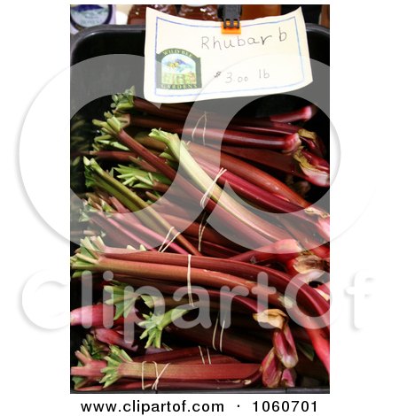 Fresh Organic Rhubarb For Sale At A Farmer's Market - Royalty Free Stock Photo by Kenny G Adams