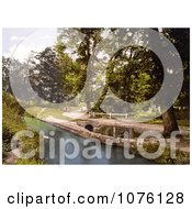Gated Dirt Road Along The River Lemon In Bradley Woods Newton Abbott Wiltshire England Royalty Free Stock Photography