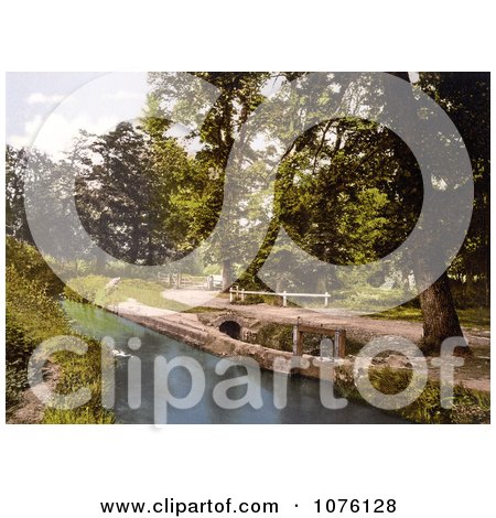 Gated Dirt Road Along the River Lemon in Bradley Woods Newton Abbott Wiltshire England - Royalty Free Stock Photography  by JVPD