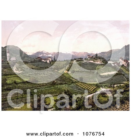 Grapevine Winery Hills in San Paolo, St. Paul’s, Eppan, Tyrol, Austria - Royalty Free Stock Photography  by JVPD