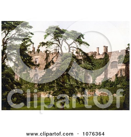 Historical Overgrown Ivy on the Exterior Walls of the Berkeley Castle in Stroud Gloucestershire England UK - Royalty Free Stock Photography  by JVPD