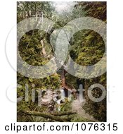 Historical Path Along The River Lyd In The Lydford Gorge Devon Devonshire England Royalty Free Stock Photography